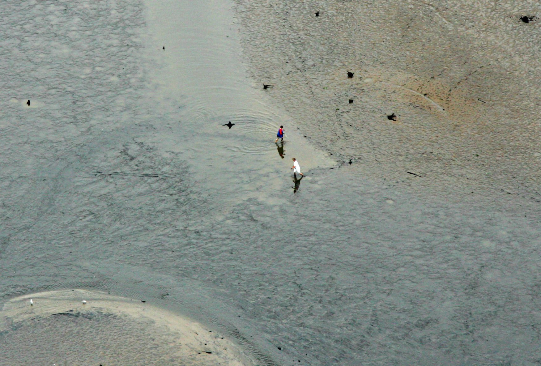Seeing the bottom, 2008